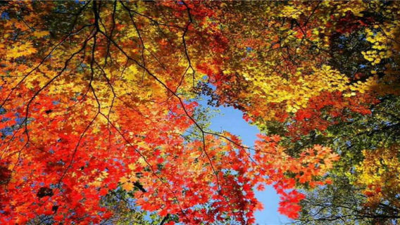 Binghugou Scenic Spot