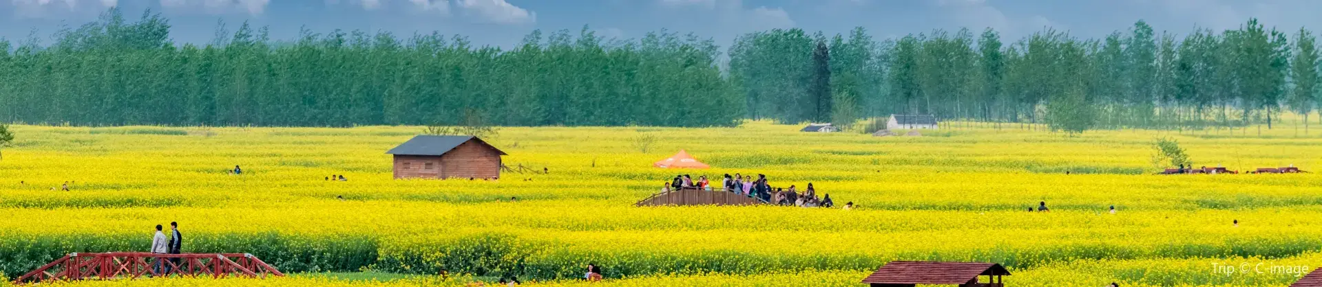 Dành cho gia đình