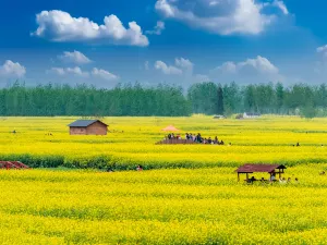 Qianduo (Raised Wetland Fields) Scenic Area