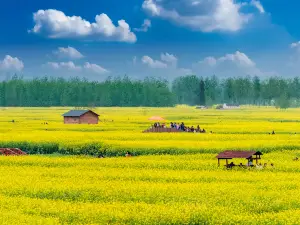 Qianduo (Raised Wetland Fields) Scenic Area