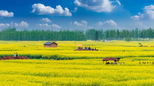 Qianduo (Raised Wetland Fields) Scenic Area