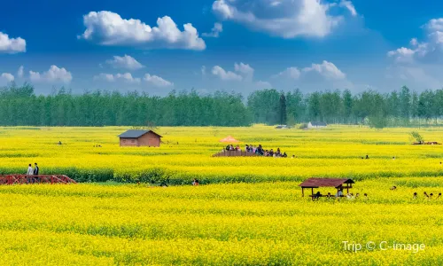 Qianduo (Raised Wetland Fields) Scenic Area