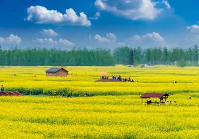 Qianduo (Raised Wetland Fields) Scenic Area