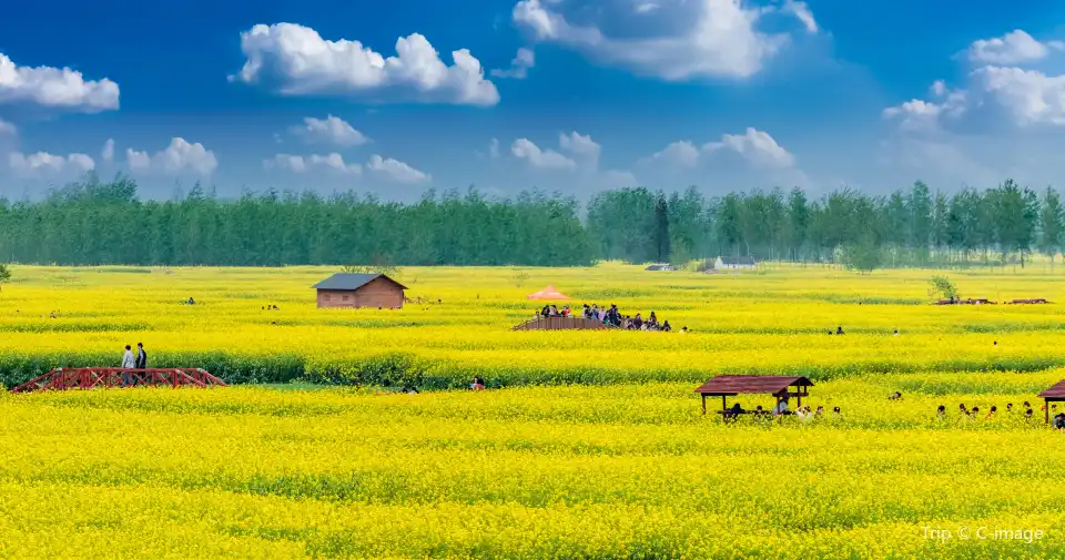 4_Qianduo (Raised Wetland Fields) Scenic Area