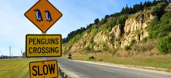 Hotels in Oamaru
