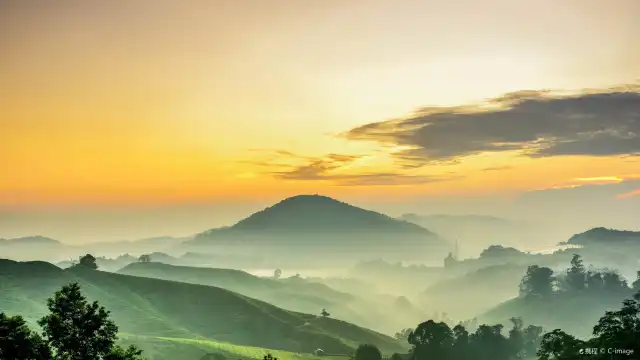 Hotels near Cameron Highlands