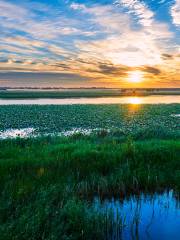 Longfeng Wetland