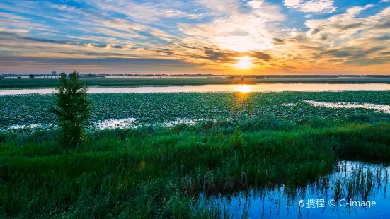 龍鳳湿地自然保護区
