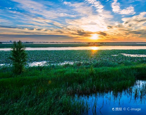 大慶 自由行套票