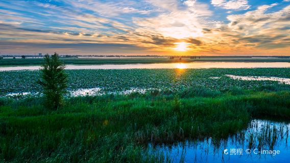 Longfeng Wetland