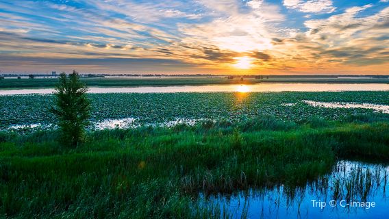 Longfeng Wetland