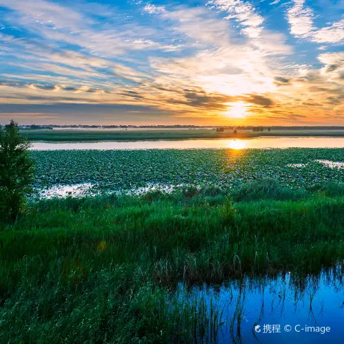Longfeng Wetland