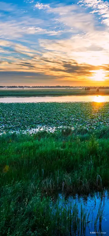 大慶にあるシャーマホテルを検索