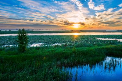Longfeng Wetland