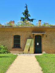 Museum of Seismology and Earth Magnetism