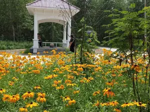 Forest Botanical Garden