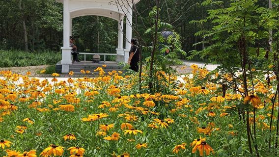 Forest Botanical Garden