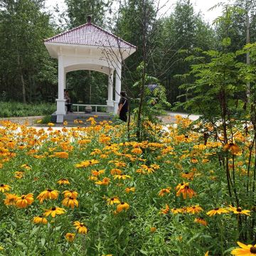 Suihua Forest Botanical Garden