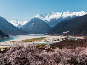 Gala Peach Blossom Village