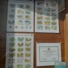 Hemingway's Bistrot張用戶圖片