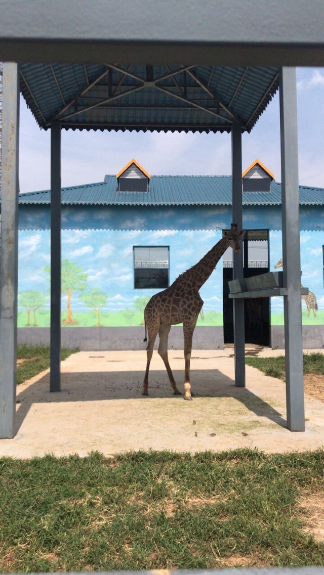 룽커우 동식물원