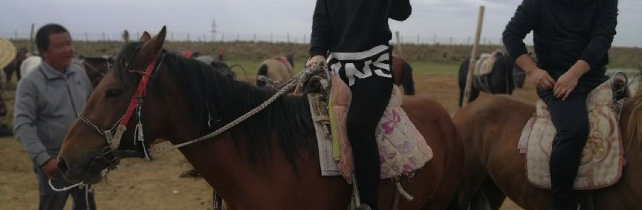 名羊天下特色烤全羊(金鱼湖店)