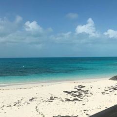 Tropic Breeze Beach Bar & Grill User Photo