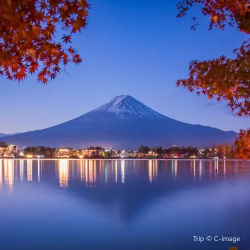 Popular Night Attractions in Fuji City