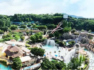 加勒比海灣