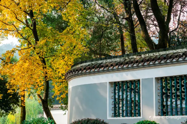 Maple Leaf Viewing in Changsha