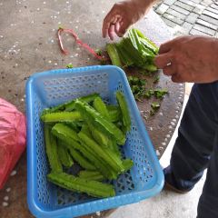 路門農家樂張用戶圖片