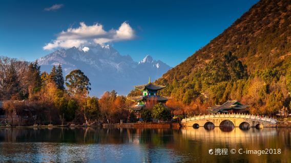Black Dragon Pool Golden Sunrise Breakfast + Tinghua Hobbit Valley + Lashi Lake Horse Ride