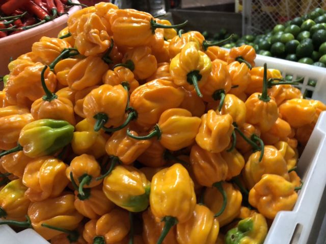First market