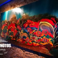 Cicerello's Mandurah User Photo