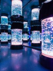 Future Jellyfish Museum