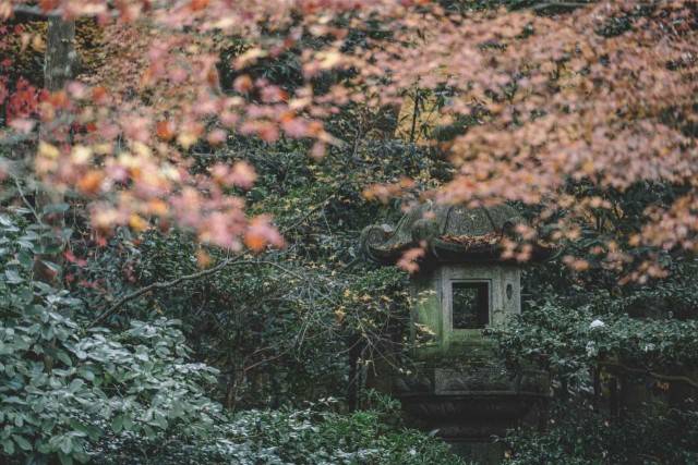 One-day tour to Yasaka Shrine + Nishiki Market + Sanzen-in + Byodo-in in Kyoto, Japan