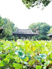 Shen Garden