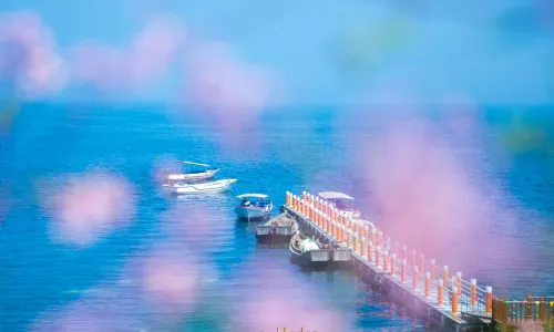 Yangma Island