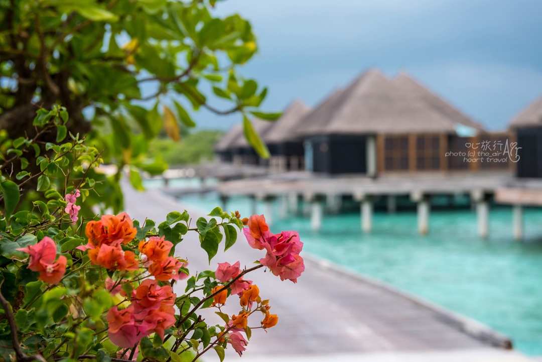2025 Kuda Huraa Travel Guide: Must-see attractions, popular food, hotels, transportation routes (updated in September)