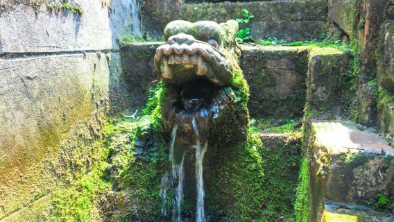 【人工講解】四川成都都江堰青城山景區專業導遊講解服務（純玩講解無購物/獨立團導遊講解）