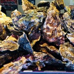 5坪gotbo薄野店用戶圖片