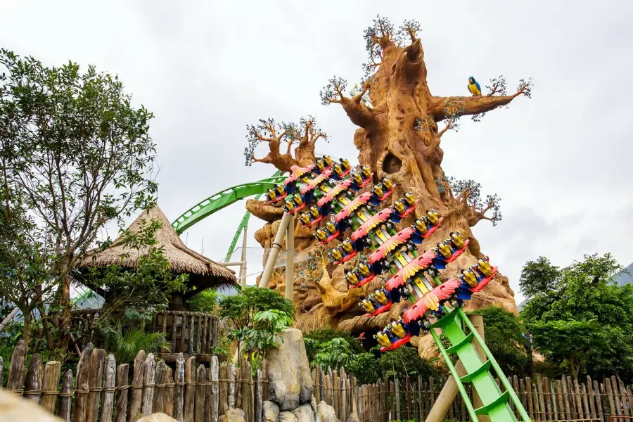 Parrot Roller Coaster