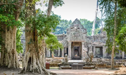 Ta Prohm Temple