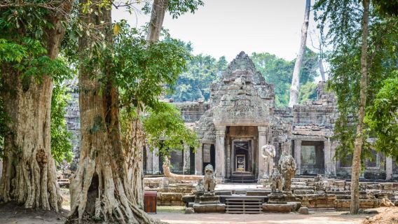 Ta Prohm Temple