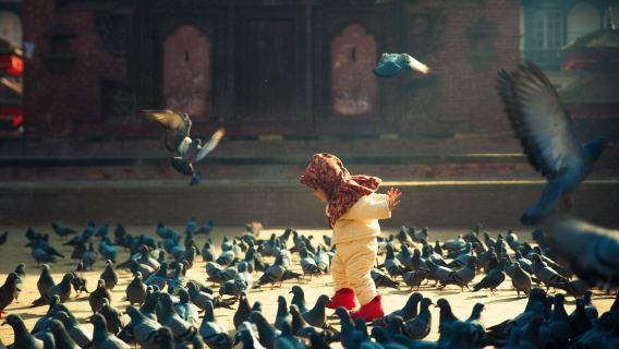 Nepal + Kathmandu Durbar Square + Boudhanath Stupa + Monkey Temple 1-day tour|private chartered tour