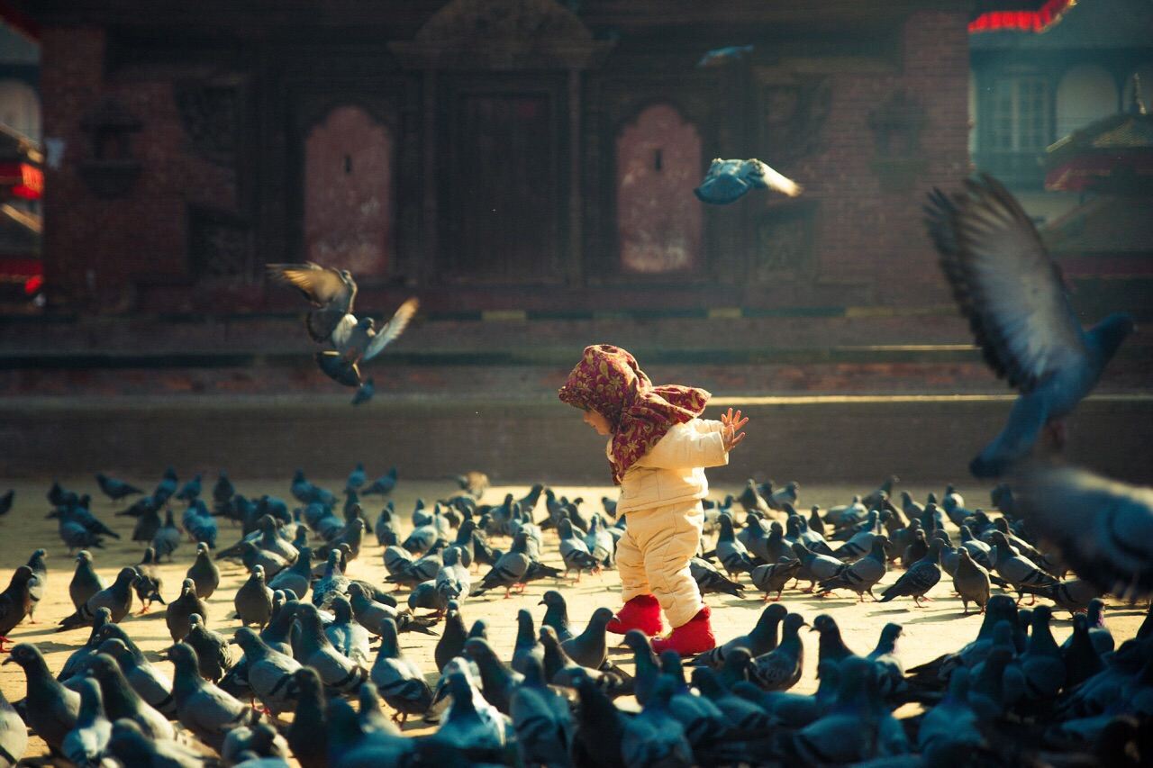 Nepal + Kathmandu Durbar Square + Boudhanath Stupa + Swayambhu Mahachaitya Day Tour|private chartered tour