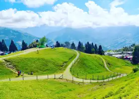 青青草原