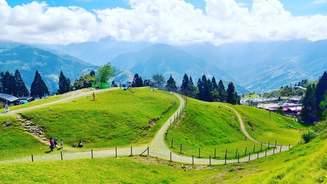 Green Green Grassland