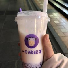 Yizhisuannainiu (jiefangbeibayilu) User Photo