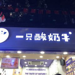 Yizhisuannainiu (jiefangbeibayilu) User Photo